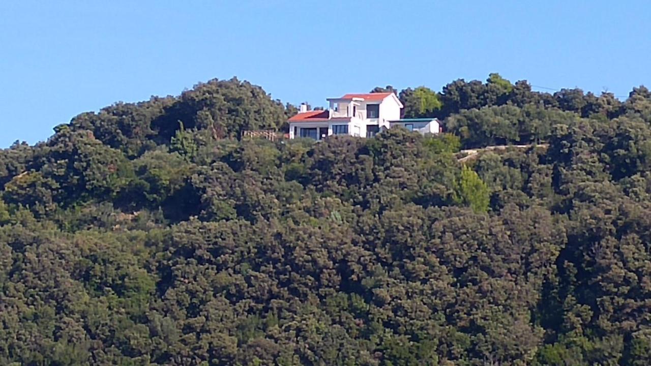 Apartment Ammirare Rab Rab Town Kültér fotó
